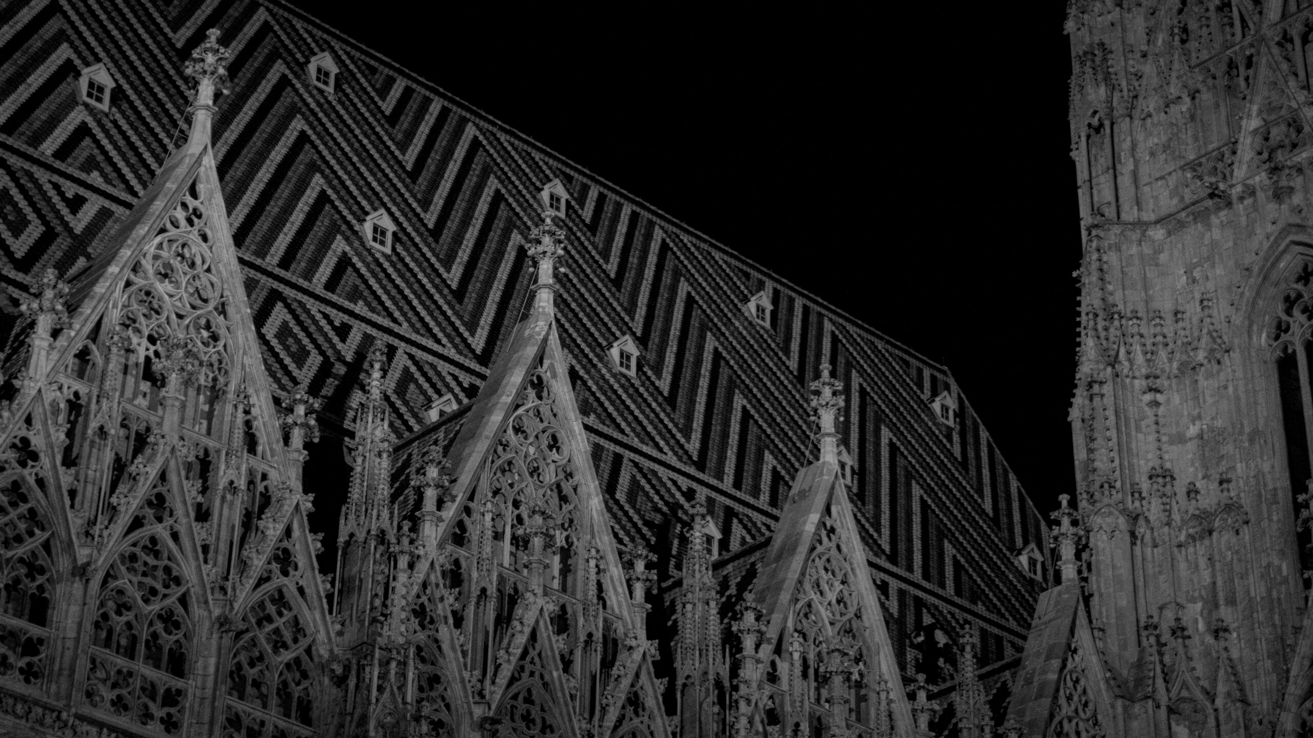 Nuits bezerreira-28